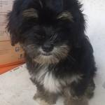 Walter Iyasara Profile Picture
