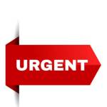 orji Chisom Profile Picture