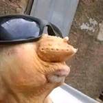 Martins Aondofa Profile Picture