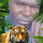 Lasisi Adekola Profile Picture