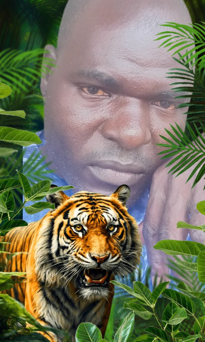 Lasisi Adekola Profile Picture