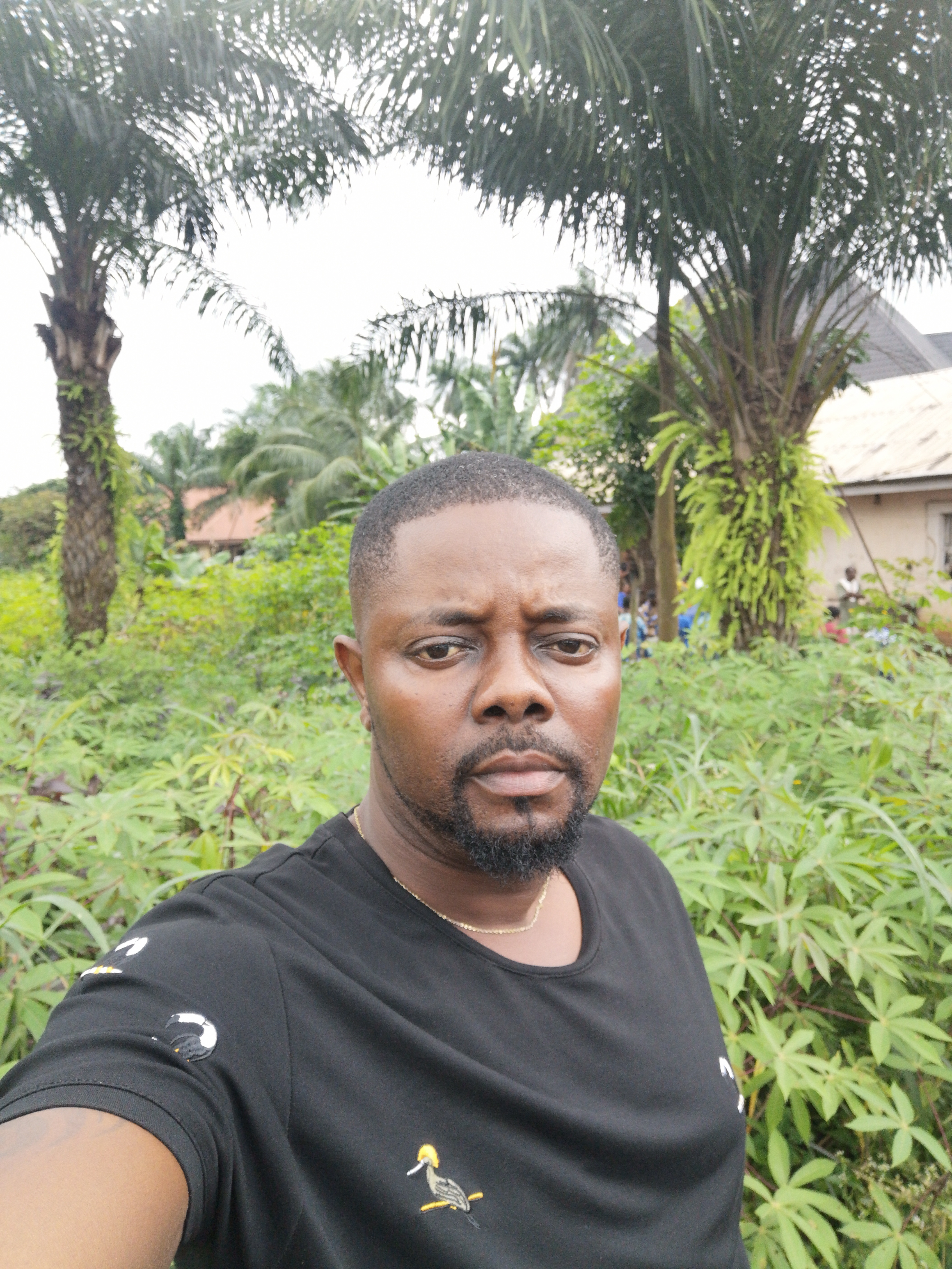 Prince Nwaogu Profile Picture