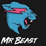 Mr Beast Profile Picture