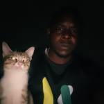 Olugbemiga Opadotun Profile Picture