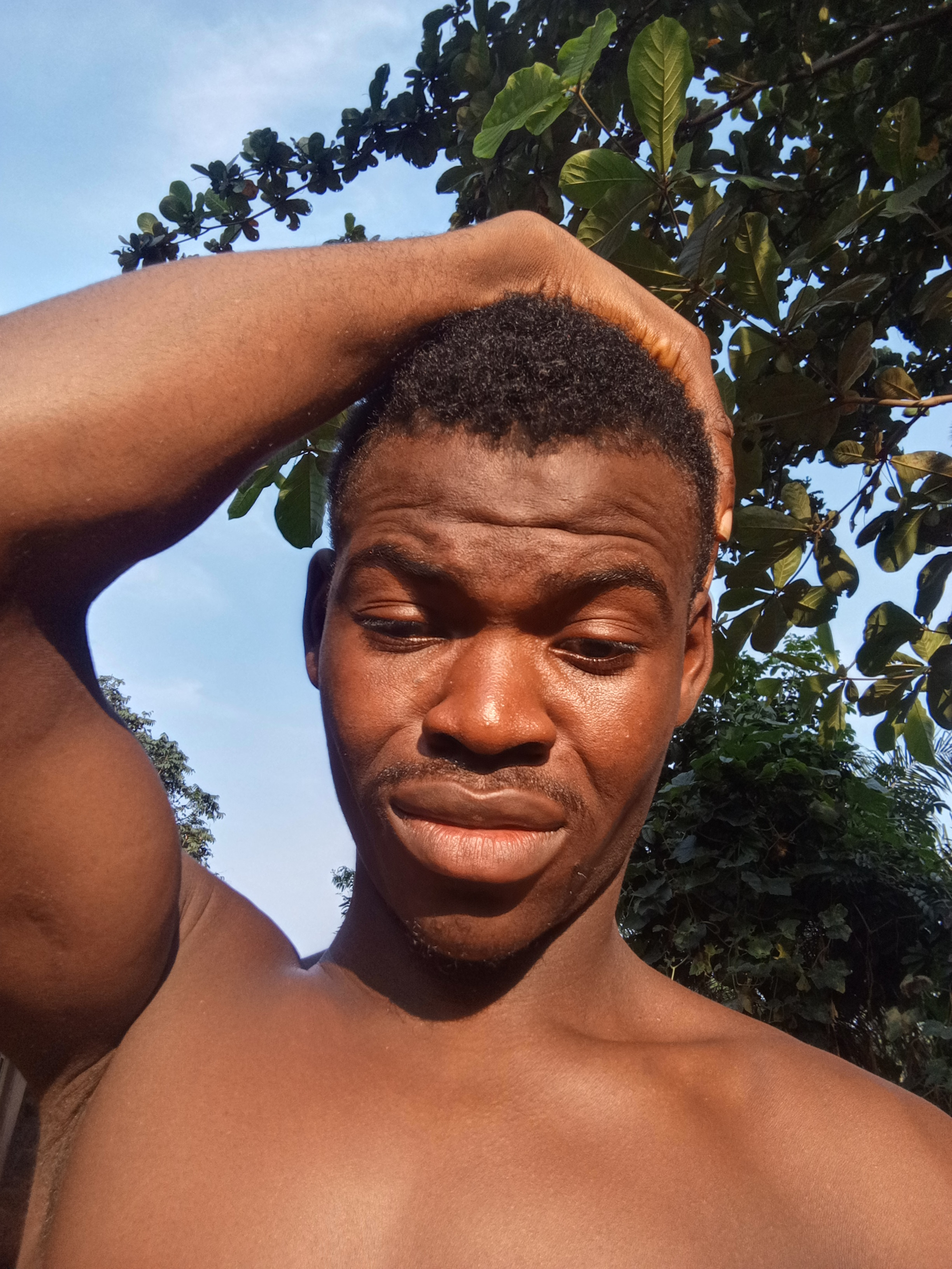 Dan Dan Profile Picture