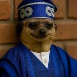 Friday Gustavo Profile Picture
