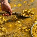 Many Tools Profile Picture