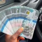 Peter Maclean Profile Picture