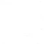 Pelumi Adeleke Profile Picture